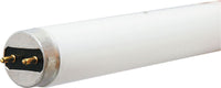 GE  32 watts T8  48 in. L Fluorescent Bulb  Daylight  Linear  5000 K 36 pk