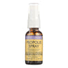 Honey Gardens Apiaries Propolis Spray - 1 oz