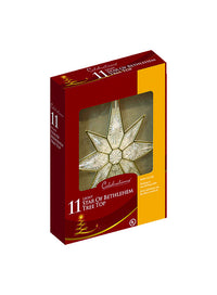 Celebrations White Star of Bethlehem Indoor Christmas Decor 12 in.