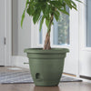 Bloem Lucca Living Green Plastic Self-Watering Planter 8 in.