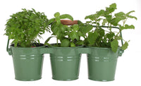 Hit Corp 8331E 14.5" x 4.75" 3 Pail Planter with Handle (Pack of 18)