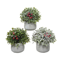 Decoris Holly Plant With Berries Plastic 1 pk (Pack of 12)