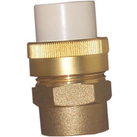 Genova 3/4 in. Male  T X 3/4 in. D Female  Brass Donut Fittings