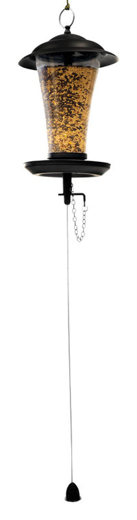 The Effortless Birdfeeder Black Plastic/Metal Hanging Bird Feeder 3 lbs. Capacity, 10 H x 7.75 W in.