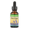 Herbs For Kids Minty Ginger - 1 fl oz