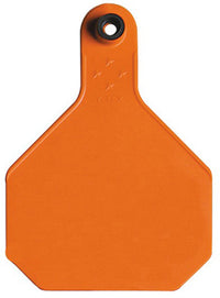 Y-Tex  Large Blank  Plastic  2-Piece Ear Tag