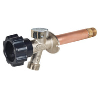 Frostproof Anti-Siphon Wall Hydrant, 6-In.