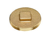 2-Inch Brass Raised Head Plug