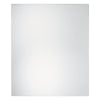 Erias 24 in. H x 20 in. W Silver Glass Mirror (Case of 6)