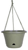 Lucca Hanging Basket, Self-Watering, Living Green, 13-In.