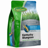 Premium Coated Kentucky Bluegrass Seed, 7-Lbs., Covers 4,800 Sq. Ft.