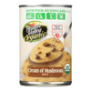 Health Valley Organic Soup - Mushroom Cream - Case of 12 - 14.5 oz.