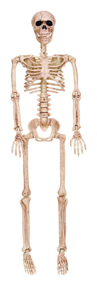 Seasons  Poseable Skeleton  Halloween Decoration  36 in. H x 4 in. W 1 each