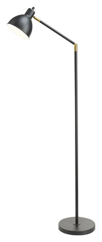 Living Accents  54-1/2 in. Antique  Black  Floor Lamp