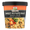 Dr. Mcdougall's Quinoa Salad - Sweet Potato Kale - Case of 6 - 2.1 oz