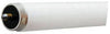 GE Lighting 40 watts T12 48 in. L Fluorescent Bulb Cool White Linear 4100 K 1 pk (Pack of 6)