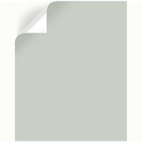 Magnolia Home by Joanna Gaines Emmie's Room Peel & Stick Color Sample (Pack of 25)