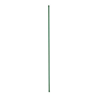 Plant Stake, Plastic Coated Steel, 5-Ft.