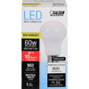 Feit Electric A19 E26 (Medium) LED Bulb Natural Light 60 Watt Equivalence 1 pk