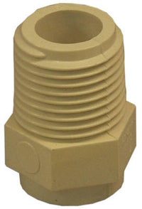 CPVC Male Pipe Thread Adapter, 0.5-In.