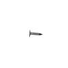 Stallion 1-1/4 in.   Roofing Electro-Galvanized Steel Nail Large 5 lb (Pack of 6)