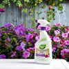 Garden Safe Liquid Insect Killer 24 oz. (Pack of 6)