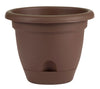 Bloem Lucca 5.3 in. H X 6 in. D Plastic Planter Charcoal (Pack of 12)