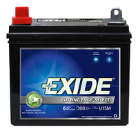 Cutting Edge Lawn Tractor Battery, 12-Volt