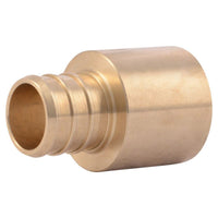 SharkBite  3/4 in. PEX   x 3/4 in. Dia. PEX  Brass  Female Adapter