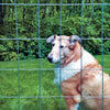 Garden Craft 24 in. H X 50 ft. L Steel Garden Fence Silver