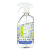 Boulder Clean Pure Herbal Peppermint Glass & Surface Cleaner  - Case of 6 - 28 FZ