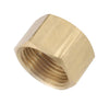 Anderson Metals 1/4 in. Compression in. T X 1/4 in. D Compression  Brass Cap