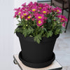 Bloem Terra Black Plastic UV-Resistant Tapered Planter 8.5 H x 10 Dia. in.