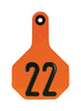 Y-Tex  Medium Numbered  Plastic  2-Piece Ear Tag