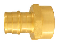 Apollo Expansion PEX / Pex A 3/4 in.   PEX  T X 3/4 in.   D FPT  Brass Female Adapter