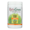 Kyolic - Kyo-Green Energy Powdered Drink Mix - 10 oz