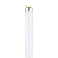 Westinghouse 32 W T8 1 in.   D X 48 in.   L Fluorescent Tube Light Bulb Cool White Linear 3500 K 1 p (Pack of 25)