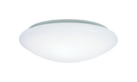 Metalux  20.3 in. H x 5.2 in. W x 20.3 in. L Ceiling Light