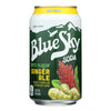 Blue Sky - Soda - Zero Sugar Ginger Ale - Case of 4 - 6/12 fl oz.