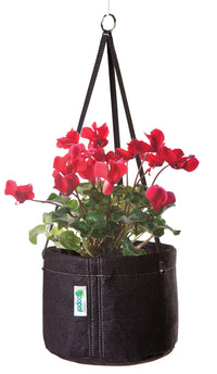 Geopot Hb-2Gal 8 Hanging Basket