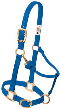 Snap Halter For Weanling/Pony, Blue Nylon, 3/4-In.