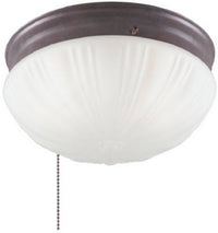 Westinghouse 8.75 in. L Ceiling Light