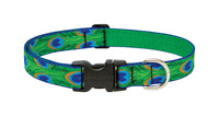 Lupine Pet  Original Designs  Multicolor  Tail Feathers  Nylon  Dog  Adjustable Collar