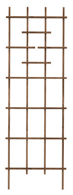 Panacea  72 in. H Brown  Wood  Trellis