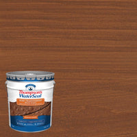 Thompson's WaterSeal Semi-Transparent Wood Sealer Semi-Transparent Chestnut Brown Waterproofing Wood