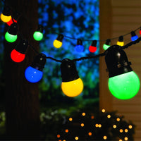 Celebrations  LED  Multicolored  50 count Light Set