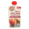 Earth's Best Organic Wholesome Breakfast Apple Raisin Pouch - Case of 12 - 4 oz.