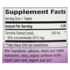 Nature's Way - Turmeric Standardized - 120 TAB