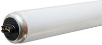 GE 45 watts T12 36 in. L Fluorescent Bulb Daylight Linear 6500 K 1 pk (Pack of 24)