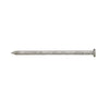 Stallion 6D 2 in. Common Hot-Dipped Galvanized Steel Nail Flat Head 1 lb (Pack of 12).